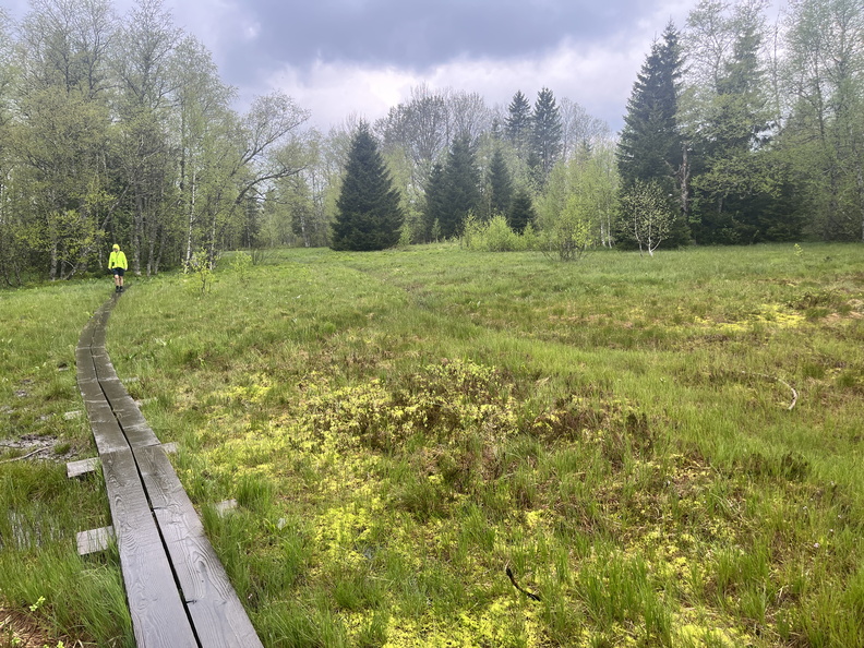 23-05-23 13-09-39 5597